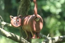 Vogelhaus/Nistkasten Die Katze an Baum befestigt